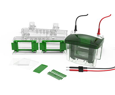 1638510031218227.jpg 1638510031218227.jpg