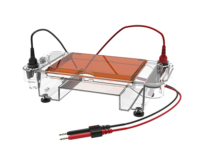 多用途水平電泳槽