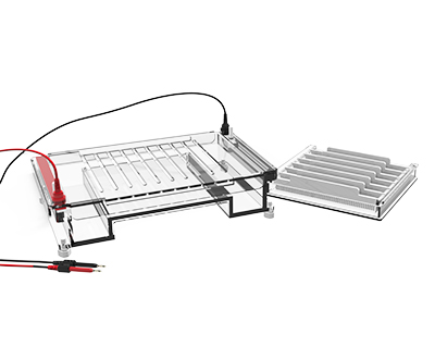 1638843553805859.jpg 1638843553805859.jpg