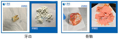 骨骼牙齒粉碎儀研磨實(shí)驗(yàn)案例效果圖 骨骼牙齒粉碎儀研磨實(shí)驗(yàn)案例效果圖