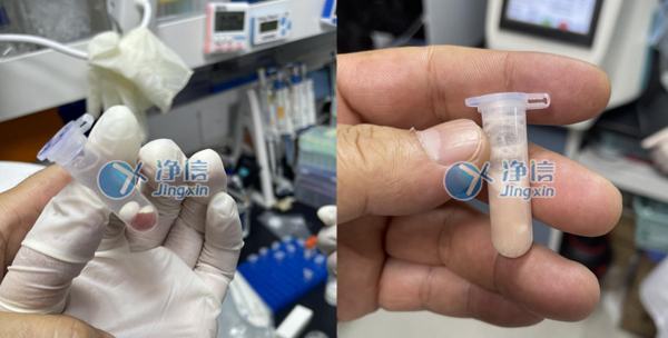 樣品研磨前后 樣品研磨前后