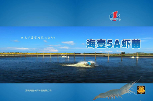 1641953667848067.jpg 海南海壹5A企業(yè)