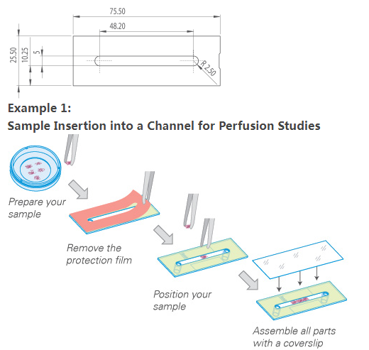 1642563517184781.png 637604999954472575615.png