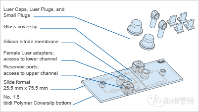 1689835961160134.png 3.png