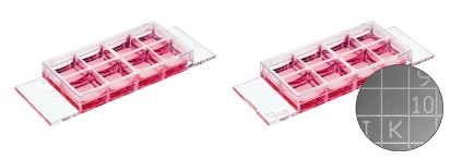 1691040425321135.jpg 1112.JPG