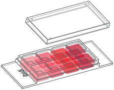 1691040520249715.jpg fc2b7adbffe2662a18c17a438811623c.jpg