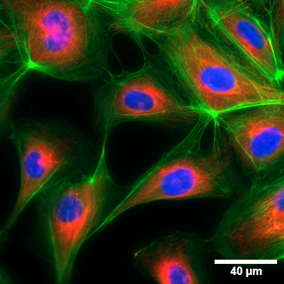 1701934398632462.png 1701934398632462.png