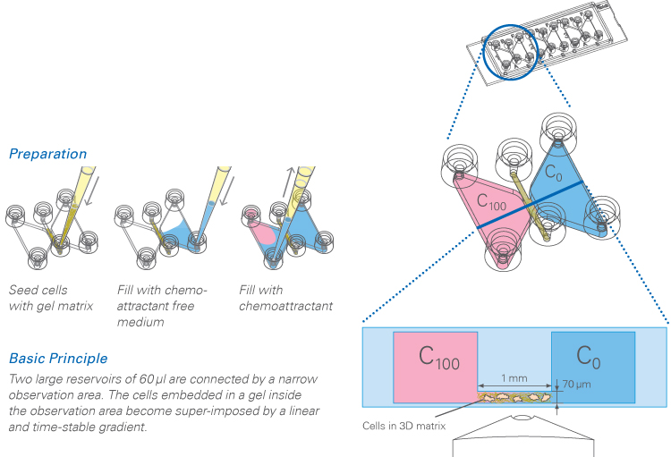 1708407939188138.jpg 1708407939188138.jpg