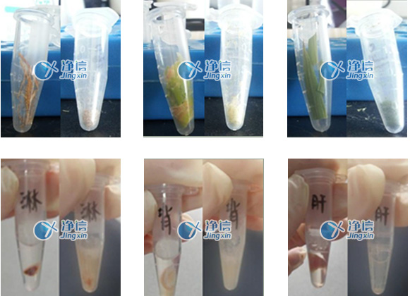 1719564550987127.png 761764141719.png