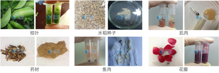 1721290218534860.png 1721290218534860.png