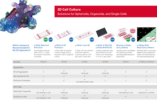 1722328370174116.png 775315489873.png