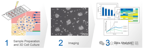 1733799496478606.png 從樣品制備到3D細胞培養、成像和分析.png