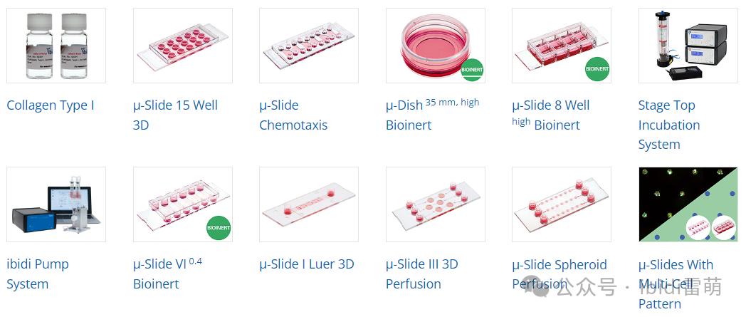 1733799519572319.png 1733799519572319.png