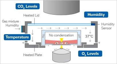 1735092327883783.png 1712988e981b0836ce69d35219bfb351.png