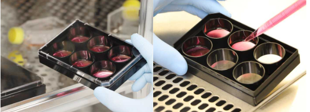 1735611361958580.png QQ截圖20241231101555.png