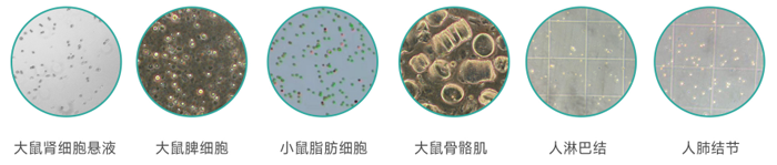 1760679090748829.png 783680483294.png