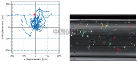 易必迪ibidi細胞趨化性試驗 u-Slide Chemotaxis 2D 圖8.png
