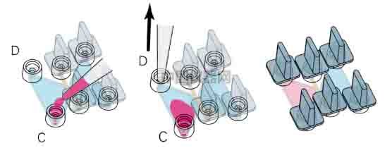 細(xì)胞趨化實(shí)驗(yàn)新方法(二)--實(shí)時(shí)觀察細(xì)胞動(dòng)態(tài)