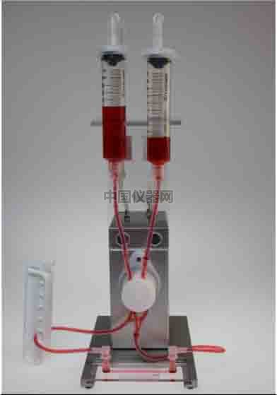 流體剪切力實驗:流體環境下的HUVEC細胞培養,真實還原體內環境