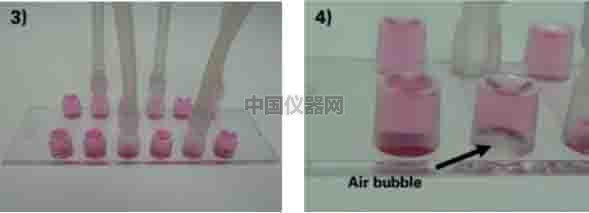 探討流體剪切力對(duì)細(xì)胞活動(dòng)的影響--流體剪切力對(duì)細(xì)胞吸收人造細(xì)胞器的影響