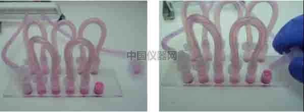 探討流體剪切力對(duì)細(xì)胞活動(dòng)的影響--流體剪切力對(duì)細(xì)胞吸收人造細(xì)胞器的影響