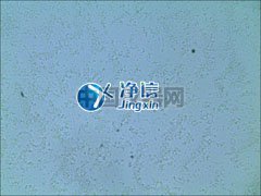 全自動樣品快速研磨儀研磨青霉菌提取線粒體實(shí)驗(yàn)-上海凈信