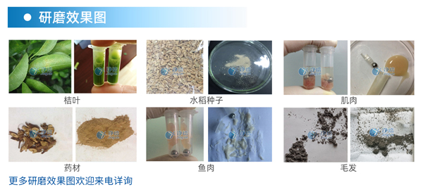 樣品研磨案例圖