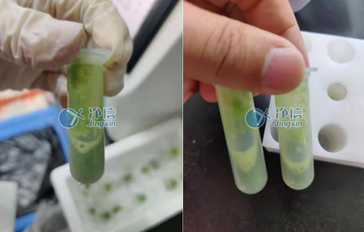 樣品研磨效果圖